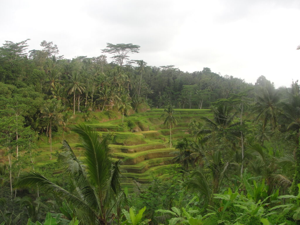 Почивка Бали