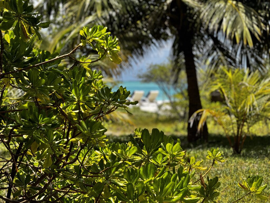 оферти за почивки