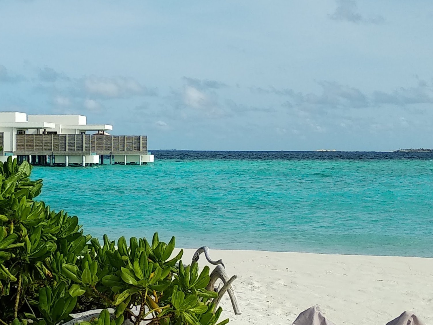 Травелисимо ООД