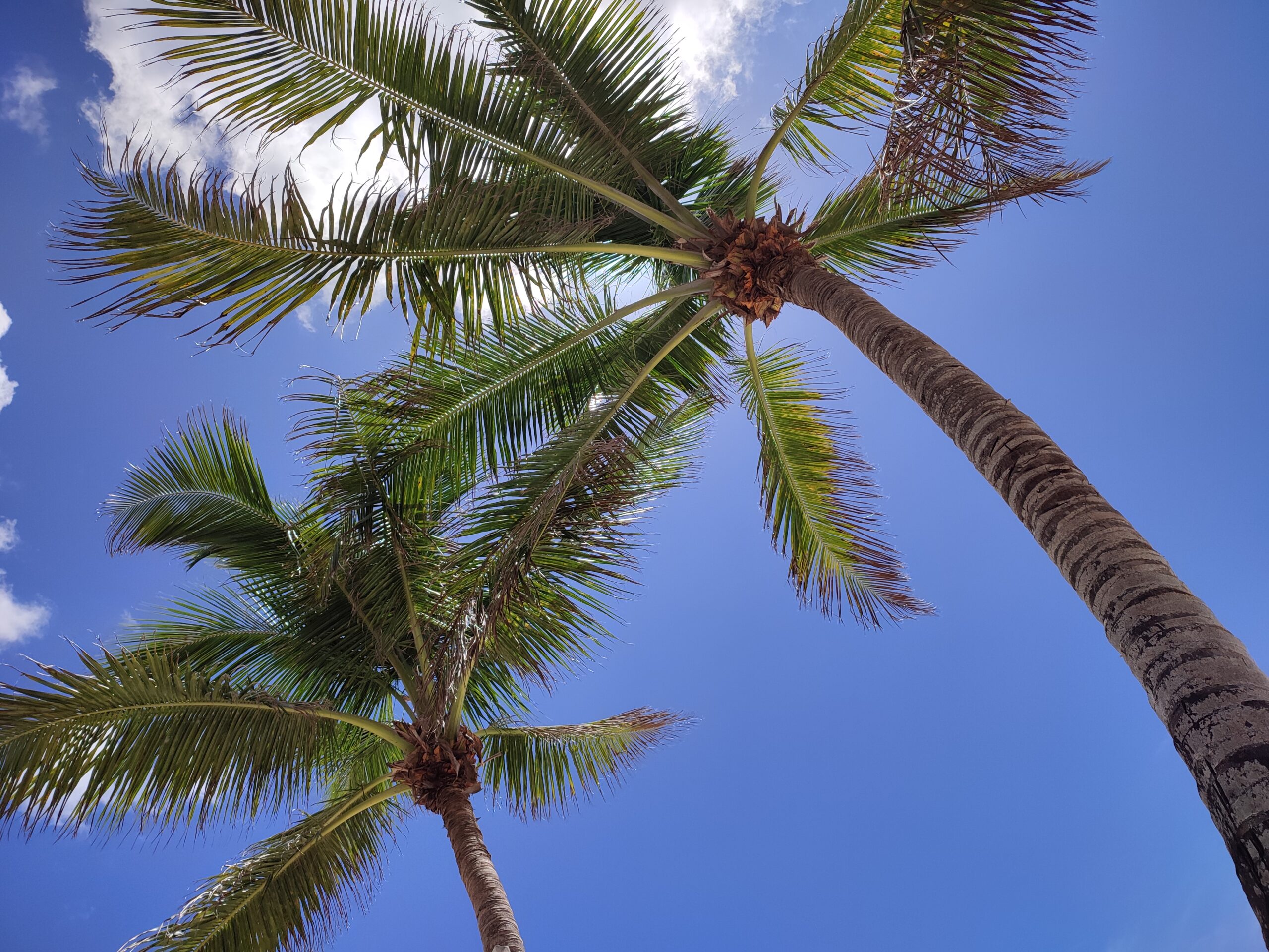 Почивки в Сейшелите